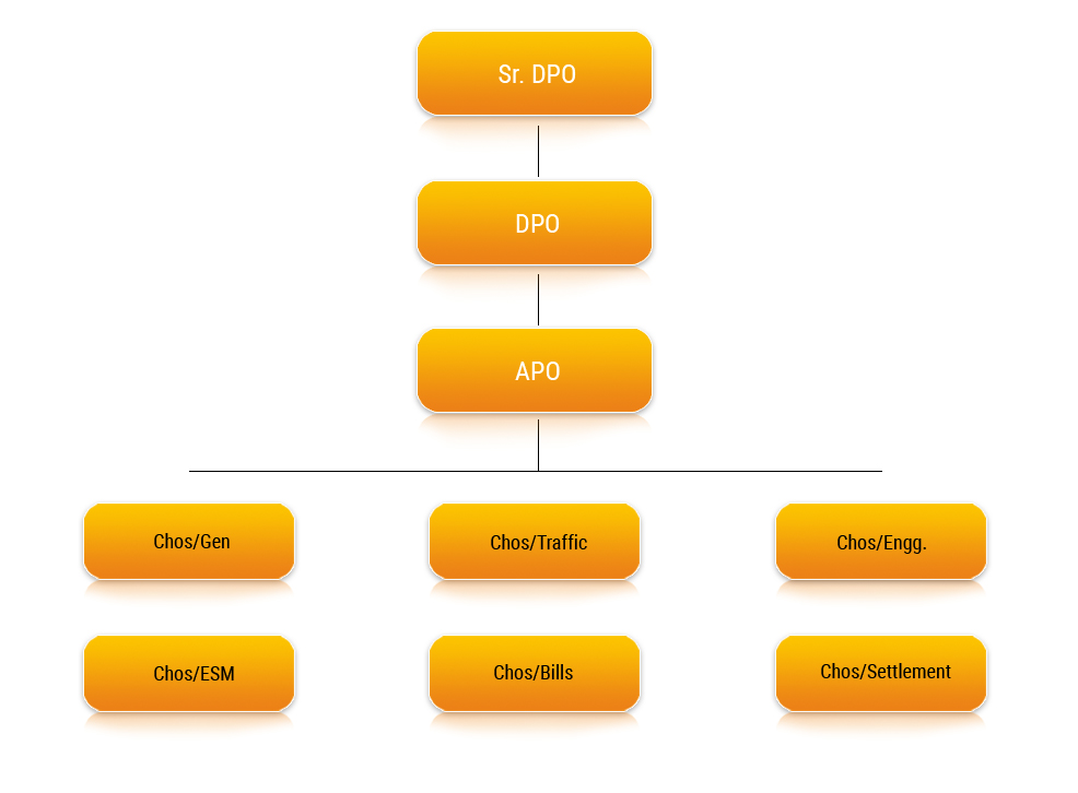 Organisation Chart